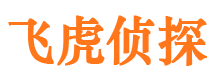 九寨沟市侦探调查公司